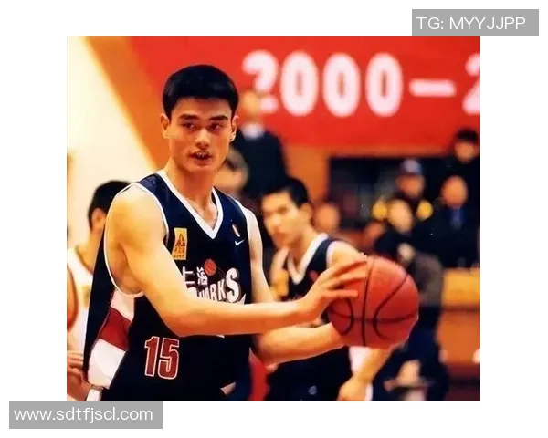 姚明：从篮球巨星到科教先锋的辉煌历程与深远影响