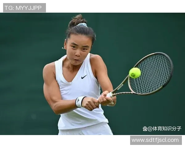 杭州网球队逆袭之路揭秘：从低谷到巅峰的奋斗与坚持